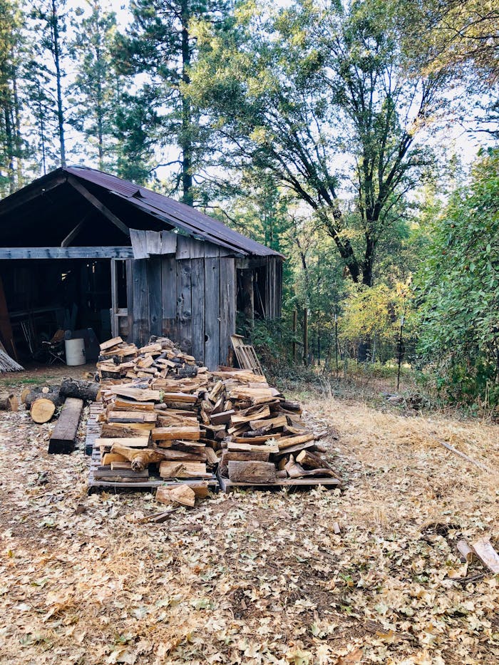 Mastering the First Impression: Your intriguing post title goes here A rustic wooden shelter in a serene forest setting, with stacked logs and surrounding greenery.